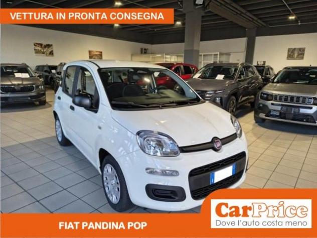 FIAT Pandina 1.0 FireFly 65CV Hybrid Pop rif. 23979680 - Foto 4