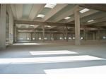 Immobile di 1350 m² con 2 locali in affitto a Poncarale