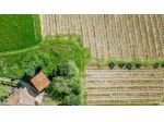 Fienile in vendita a Sovigliana - Vinci 250 mq  Rif: 1408858