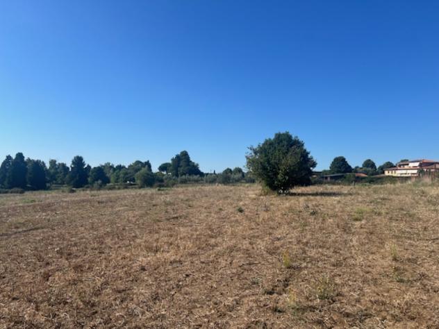 Agricolo in Strada di Sant'Anna - Foto 3