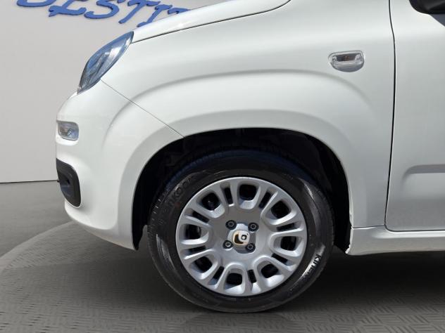 FIAT - Panda Pandina 1.0 firefly hybrid Pop s&s 65cv - Foto 4