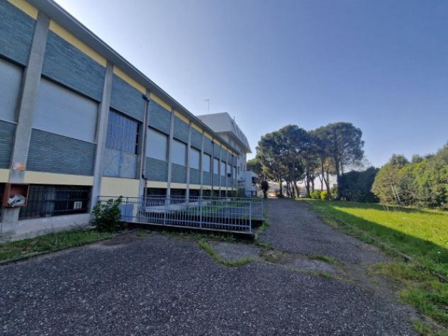 Immobile di 3700 m² con più di 5 locali in vendita a Caronno Pertusella - Foto 3
