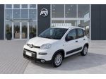 FIAT Panda 1.0 70CV Hybrid AUTOCARRO 4 posti rif. 24105510