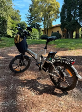 Bicicletta pedalata assistita pieghevole Miele