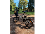 Bicicletta pedalata assistita pieghevole Miele