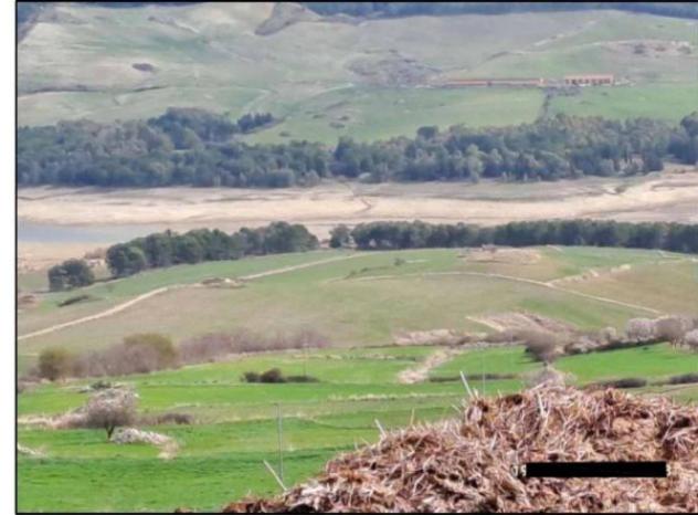 Immobile in asta di 7262 m² in vendita a Castronovo di Sicilia - Foto 9
