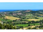 Terreni edificabili in vendita a Tavullia (PU)