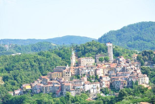 Industriale in vendita a Arcola