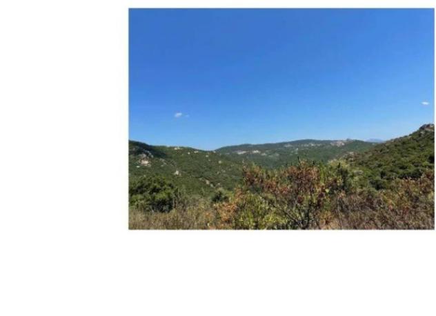 Immobile in asta di 71470 m² in vendita a Bortigiadas - Foto 11