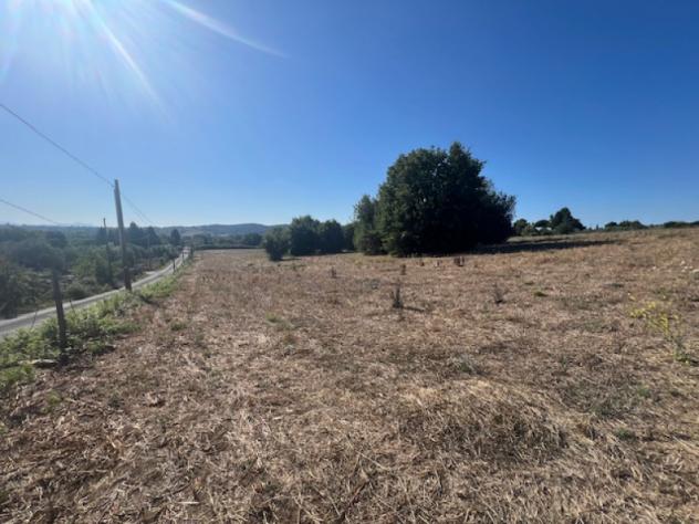 Agricolo in Strada di Sant'Anna - Foto 5