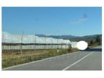 IMMOBILI-ALTRA CATEGORIA-Fraz. Velina - via Coppola SNC/SR 447