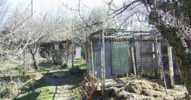 Immobile in asta di 4300 m² in vendita a Cerchiara di Calabria - Foto 5
