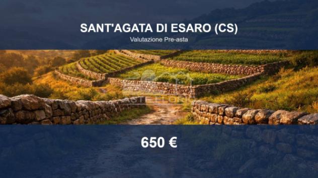 Immobile in asta di 1715 m² in vendita a Sant'Agata di Esaro
