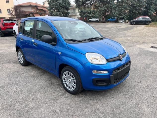 FIAT Pandina Pandina 1.0 firefly hybrid Icon s&s 65cv - Foto 3