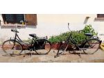 Biciclette