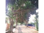 B&B Villa Antonella