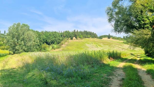 Terreno agricolo in vendita a San Miniato 80000 mq  Rif: 1343616