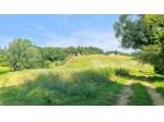 Terreno agricolo in vendita a San Miniato 80000 mq  Rif: 1343616