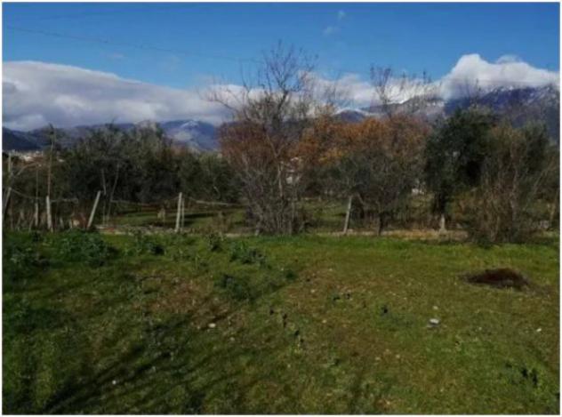 Immobile in asta di 361 m² in vendita a Castrovillari - Foto 12