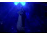 Musica Animazione Matrimoni