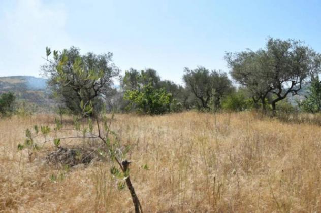 Immobile in asta di 1856 m² in vendita a Barile - Foto 3