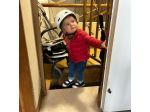 Stefano cerca una babysitter - lavoro da babysitter a Bologna