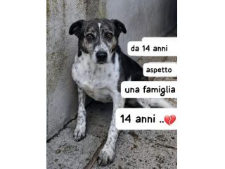 SALLY 14 ANNI taglia media