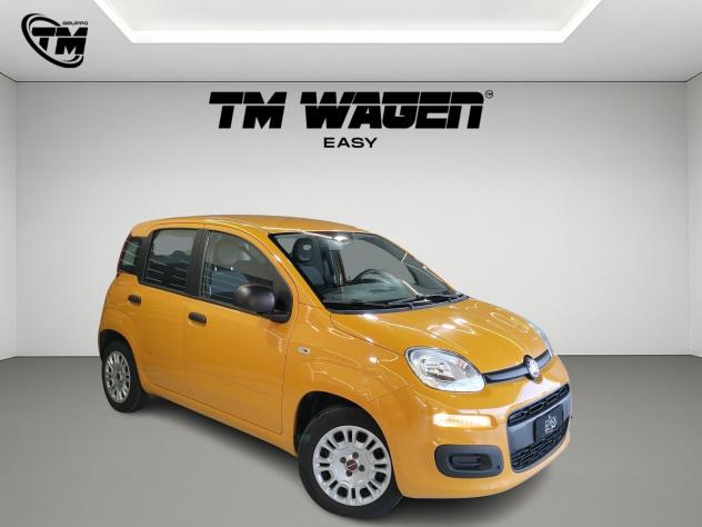 Fiat Panda 1.0 FireFly S&S Hybrid - NEOPATENTATI - Foto 3