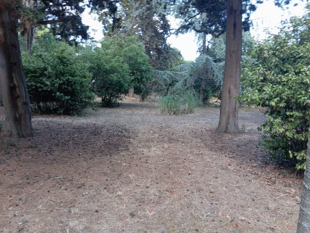 Città Sant' angelo villa recente costruzione casa con frutteto uliveto bosco