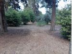 Città Sant' angelo villa recente costruzione casa con frutteto uliveto bosco