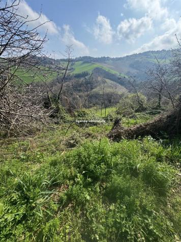 FARNETO VENDESI CASA SINGOLA CON DUE ETTARRI DI TERRENO AGRICOLO - Foto 19