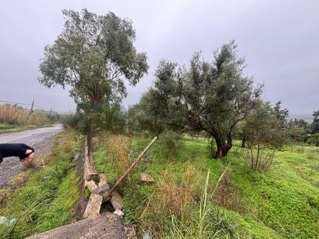 Terreno in vendita a Carlentini - Foto 6