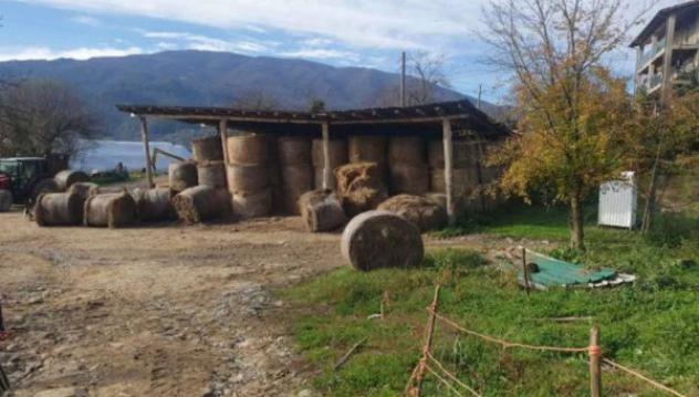 Immobile in asta di 174275 m² in vendita a Pieve Fosciana - Foto 9