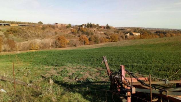 Immobile in asta di 717 m² in vendita a Viterbo - Foto 4