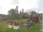 Terreno agricolo in vendita a Livorno 2000 mq  Rif: 1023871