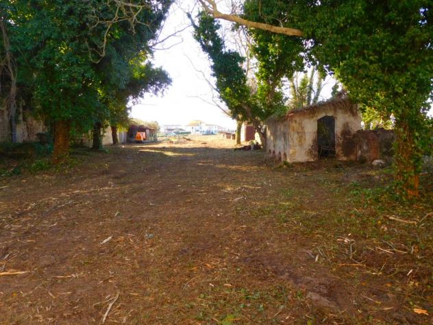 Colonica in vendita a Migliarino - Vecchiano 2850 mq Rif: 1305039 - Foto 6