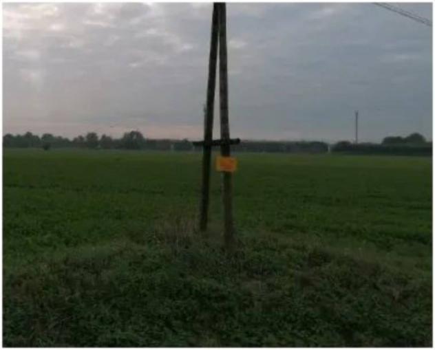 Immobile in asta di 156880 m² in vendita a Parma - Foto 3