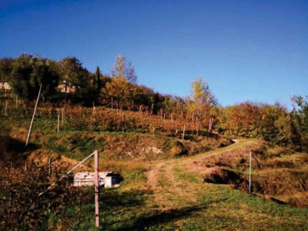 Immobile in asta di 83636 m² in vendita a Refrontolo - Foto 6