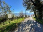 Terreno di 21068 mq  in vendita a San Leucio del Sannio - Rif. 4553554