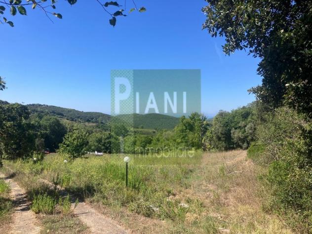 Annesso agricolo in vendita a Nibbiaia - Rosignano Marittimo 17000 mq Rif: 1444990 - Foto 4