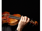Violinista a Como e Lugano