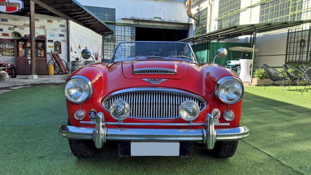 Austin-Healey 3000 BJ8 MKIII 1965 - SUMMER PRICE - Foto 5