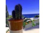 Senia Rooms Vista