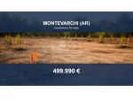 Immobile in asta di 17346 m² in vendita a Montevarchi