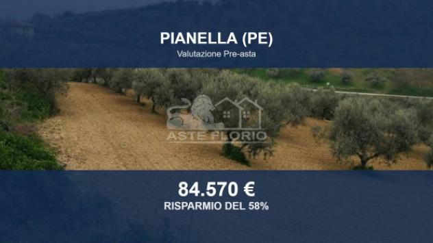 Immobile in asta di 49680 m² in vendita a Pianella