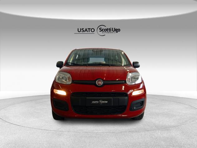 FIAT Pandina III 2024 Panda 1.0 firefly hybrid s&s 70cv - Foto 3