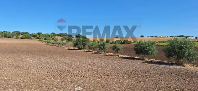 Terreno in vendita a Noto - Foto 15