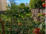 Terreno in vendita a Riposto