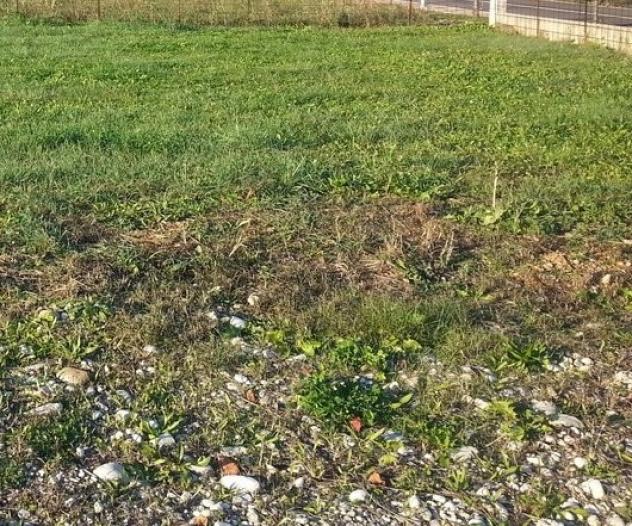 AREA EDIFICABILE di 500 mq (VOLPAGO DEL MONTELLO) rif. RT460B_4 - Foto 10