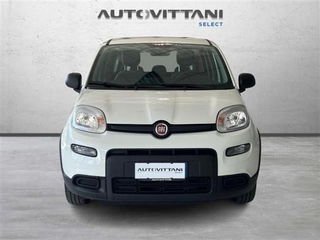 FIAT Panda 1.0 FireFly Hybrid 70cv City Life S&S 5p.ti rif. 24023670 - Foto 2